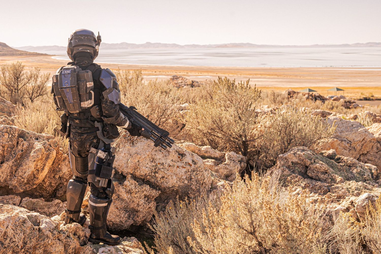 A costumed soldier in futuristic armor stands on rocky terrain overlooking a vast desert landscape.
