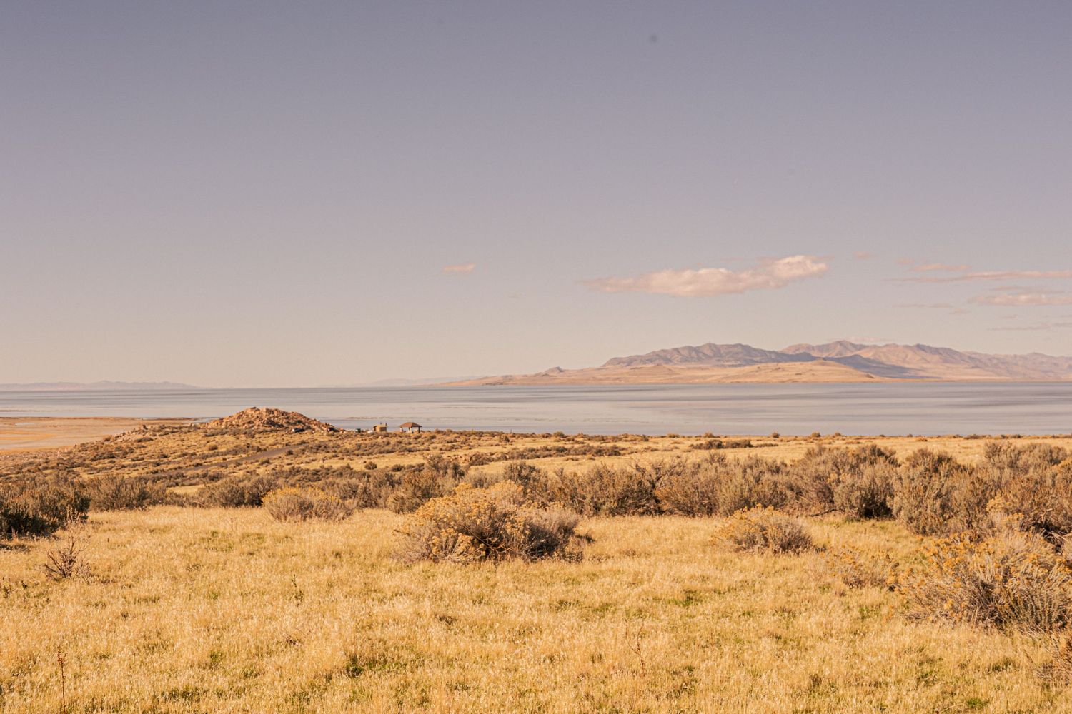 Vast golden grassland with sagebrush, a calm lake, and mountain range under a clear blue sky.