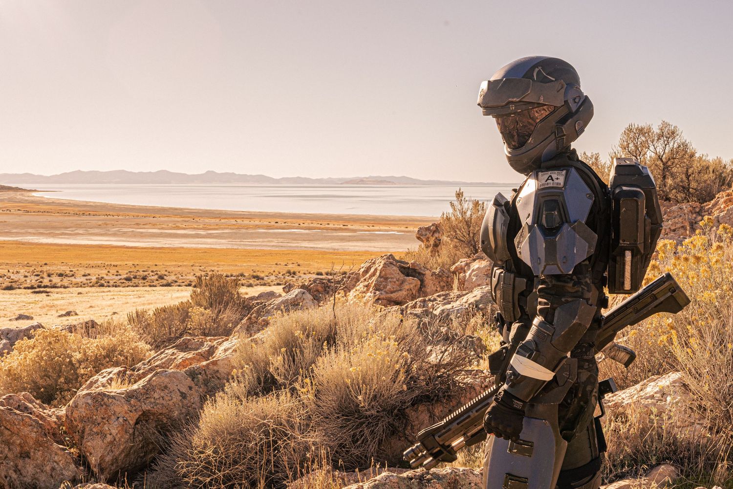 Soldier in futuristic white and black armor holding rifle in desert scrubland environment.