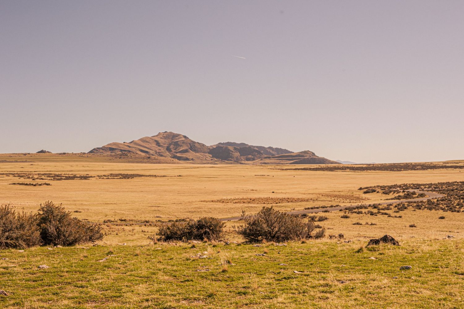 Vast arid desert landscape with golden grasslands, sparse shrubs, and a mountain range under a clear blue sky.