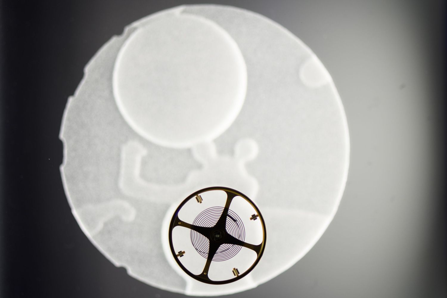 Close-up of a small mechanical gear component on a white circular disc surface.