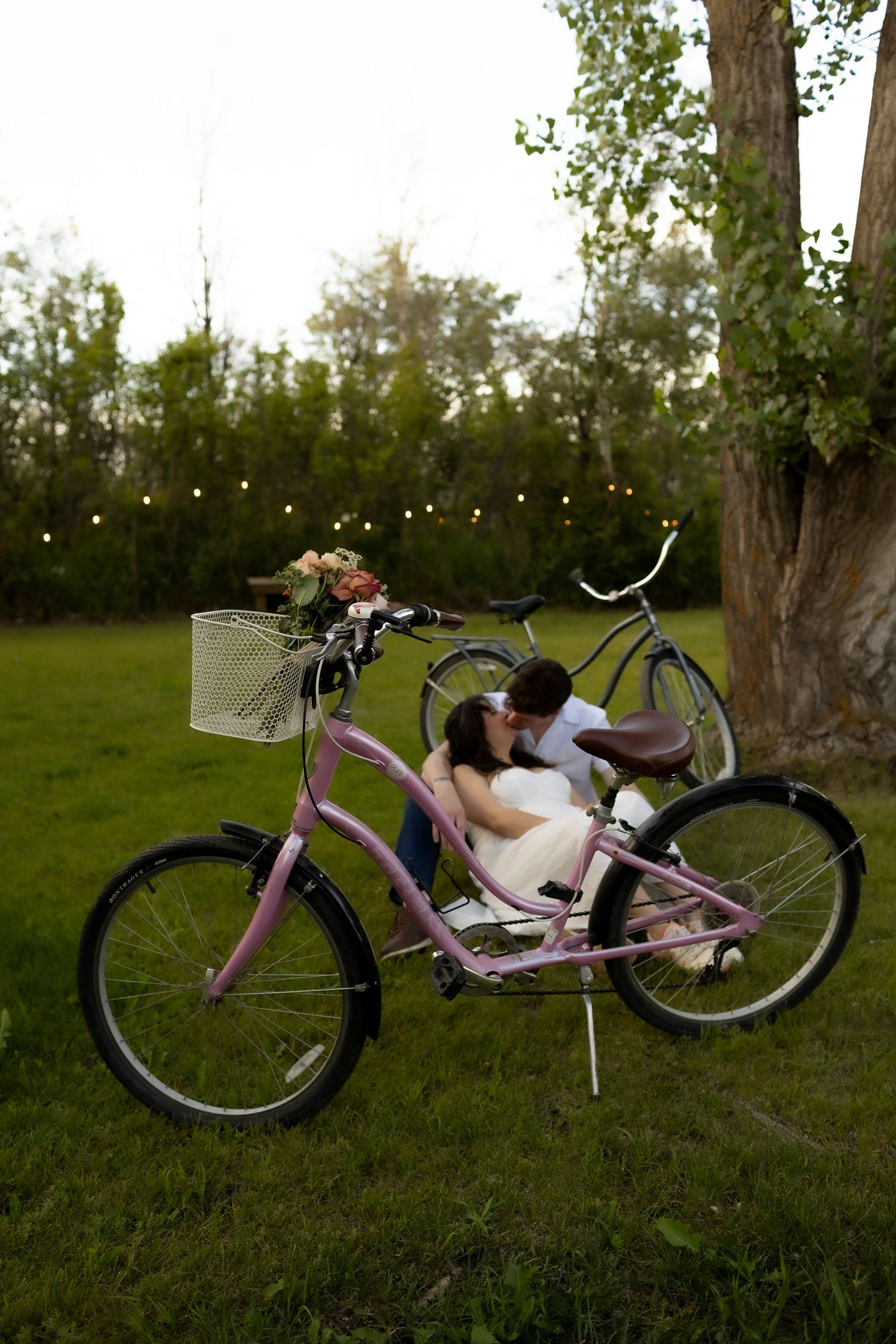 Couple kissing beside pink bicycle with flower basket on lush green lawn at dusk with string lights.