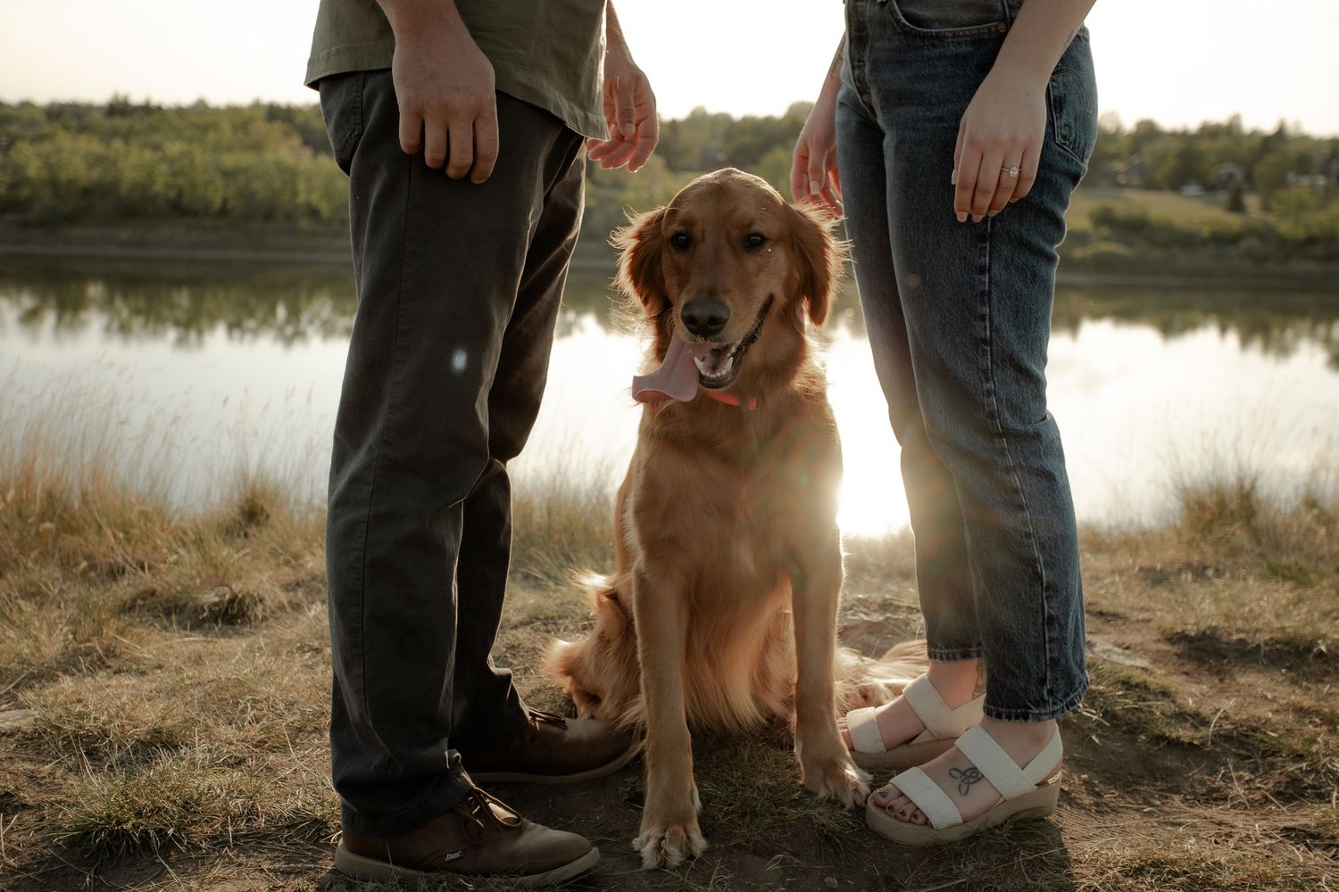 Golden retriever sits between two people by a lake at sunset with warm backlighting.