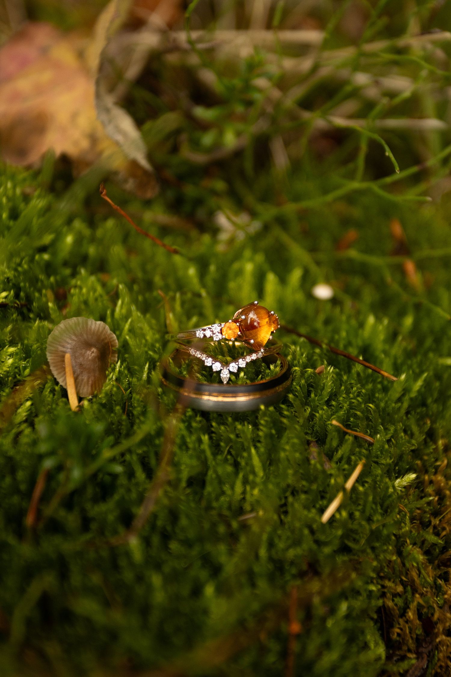 Close-up of engagement rings with amber gemstone and diamonds resting on green moss outdoors.