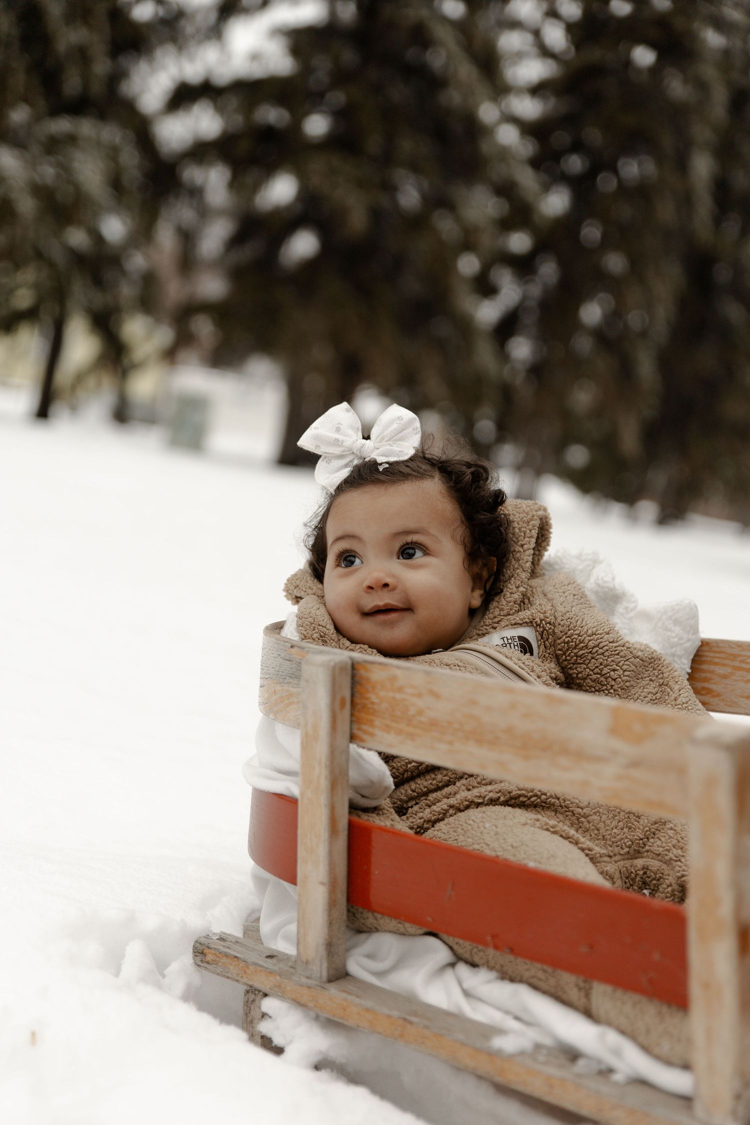 Small child bundled in winter clothing rests in a wooden sled with red accents.