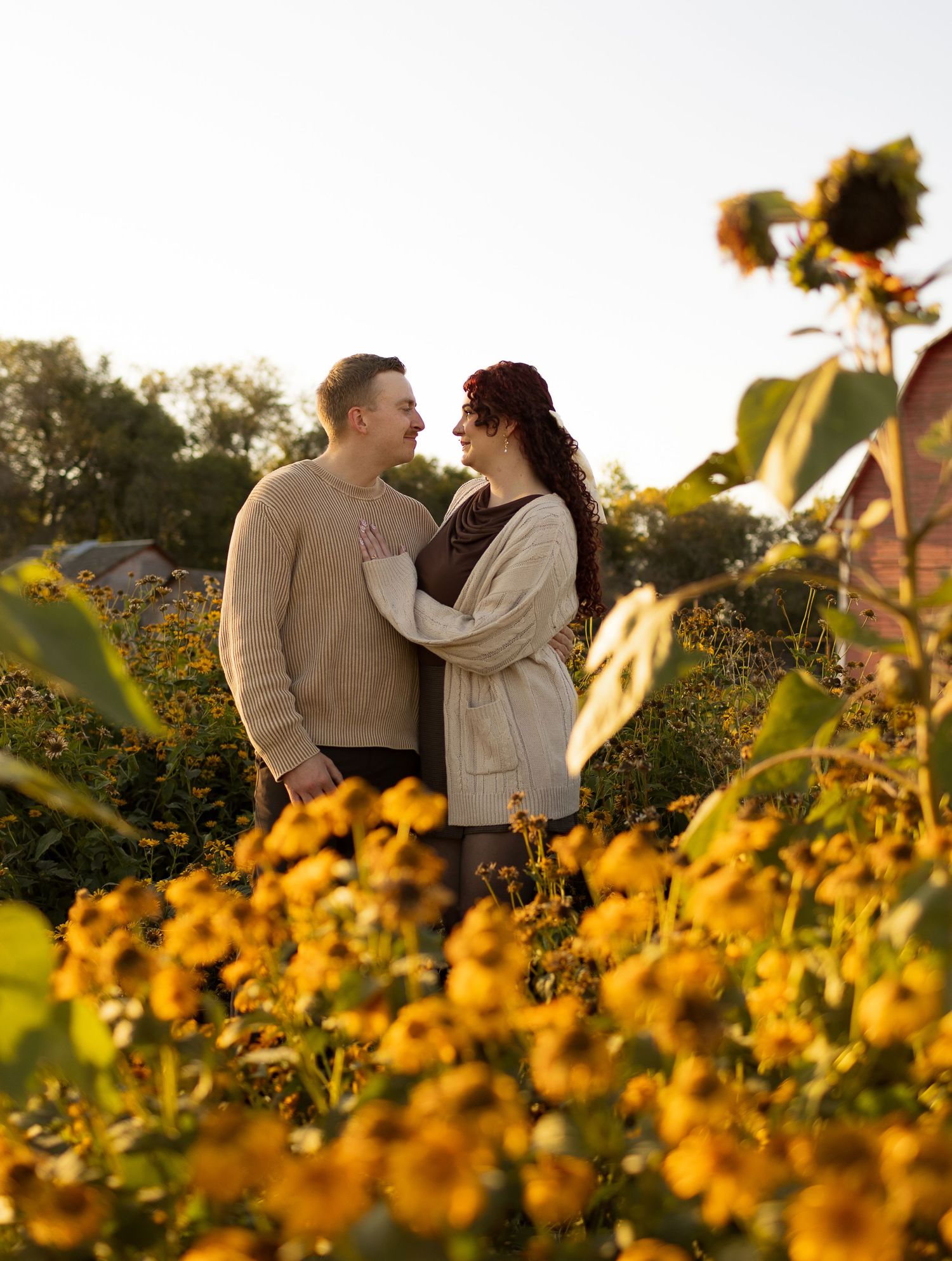 A couple stands intimately among blooming yellow sunflowers during golden hour.