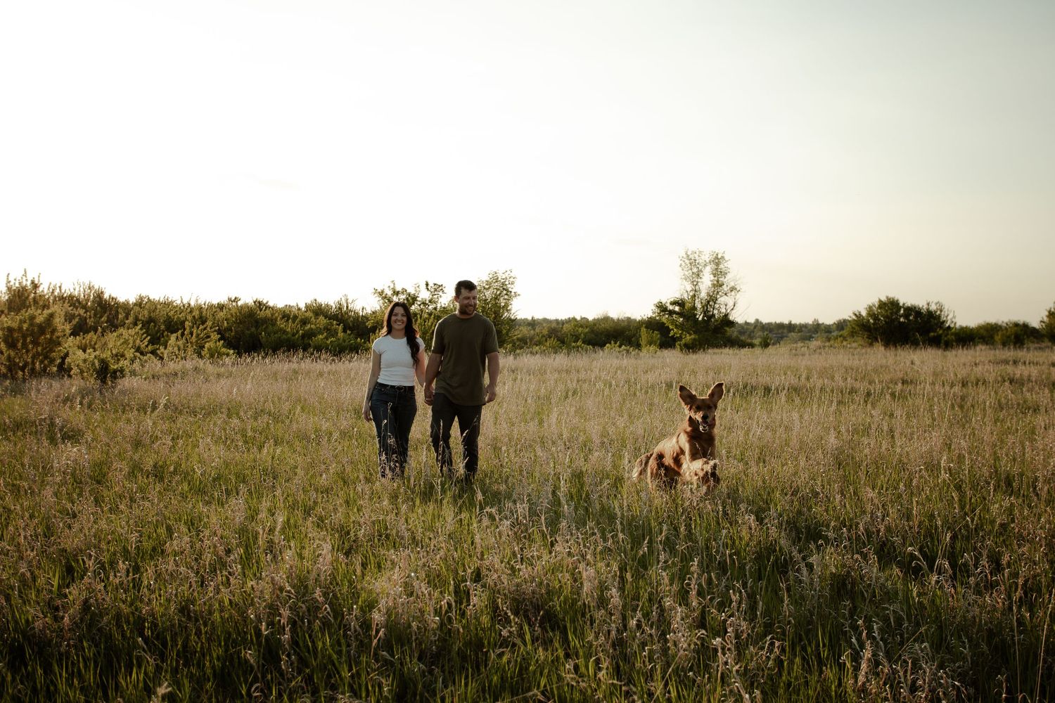A couple walking through a golden field at sunset with their dog following behind at Crocus Prairies in Saskatoon, Saskatchewan.