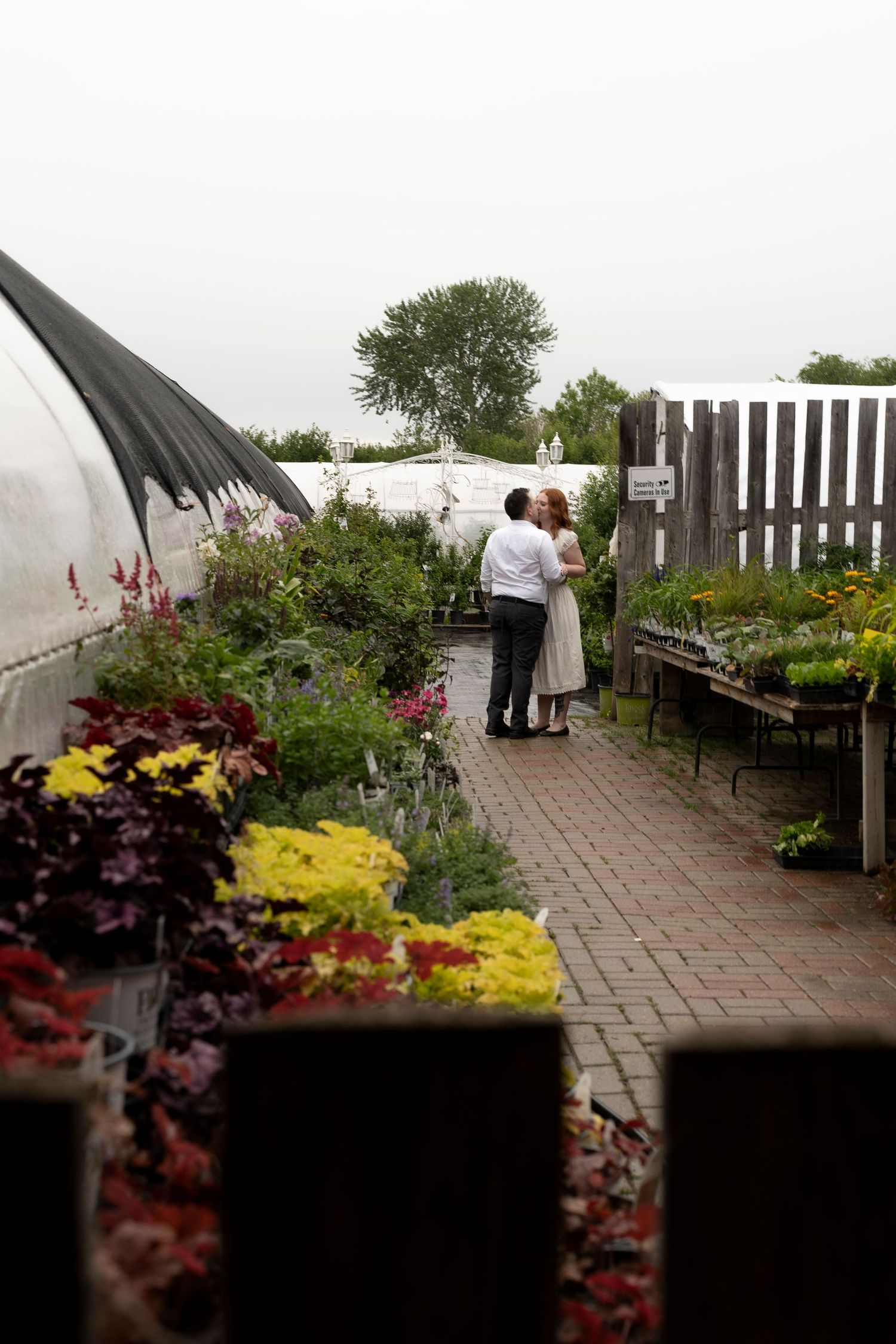 Couple sharing a tender moment in a vibrant garden nursery with colorful flowers and lush greenery.