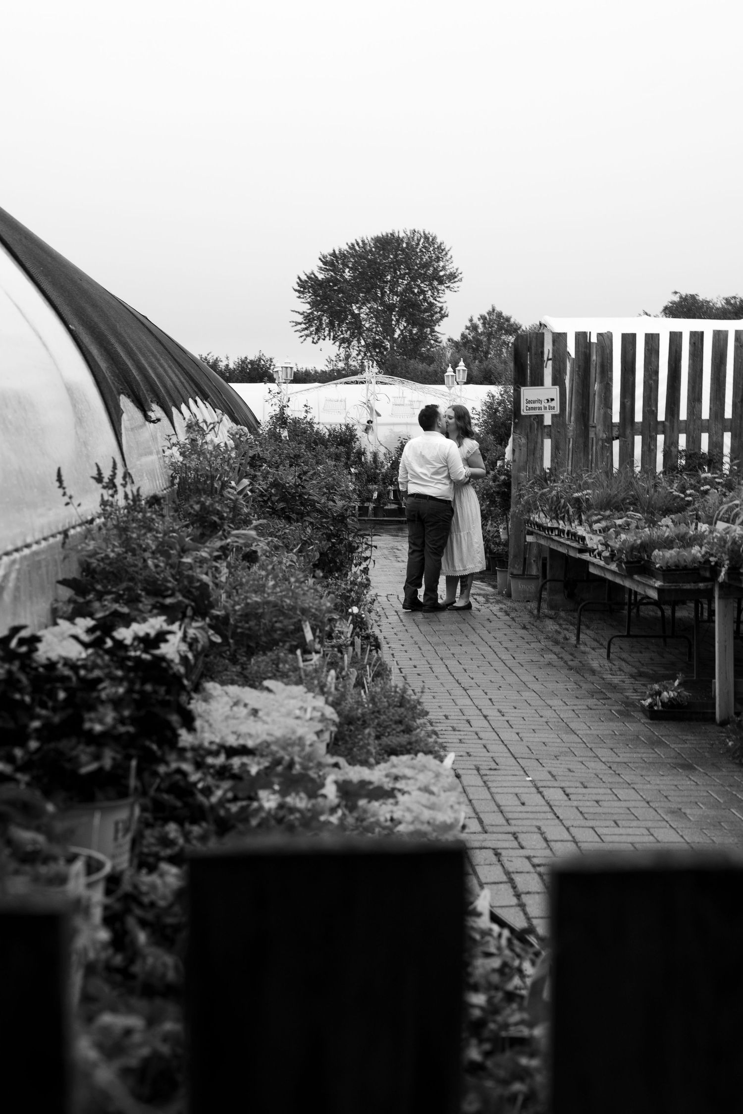 Black and white photo of a couple embracing in a garden nursery pathway surrounded by plants.