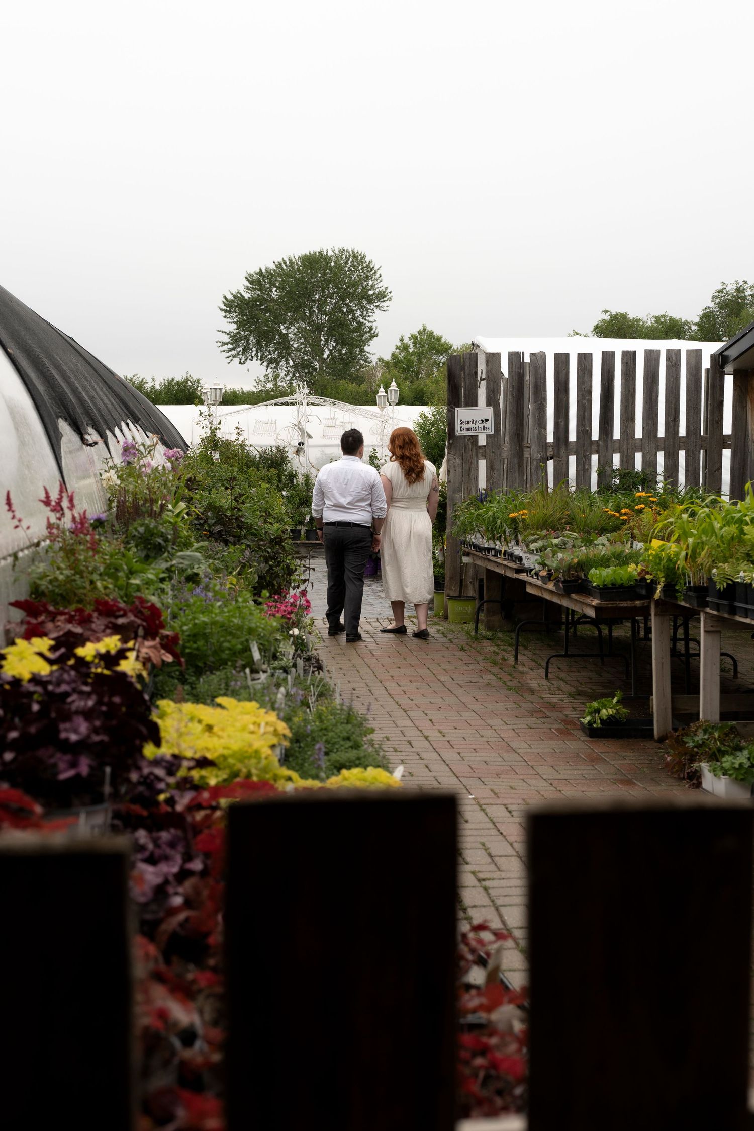 Couple walking hand in hand through a lush garden nursery pathway surrounded by colorful plants and flowers.