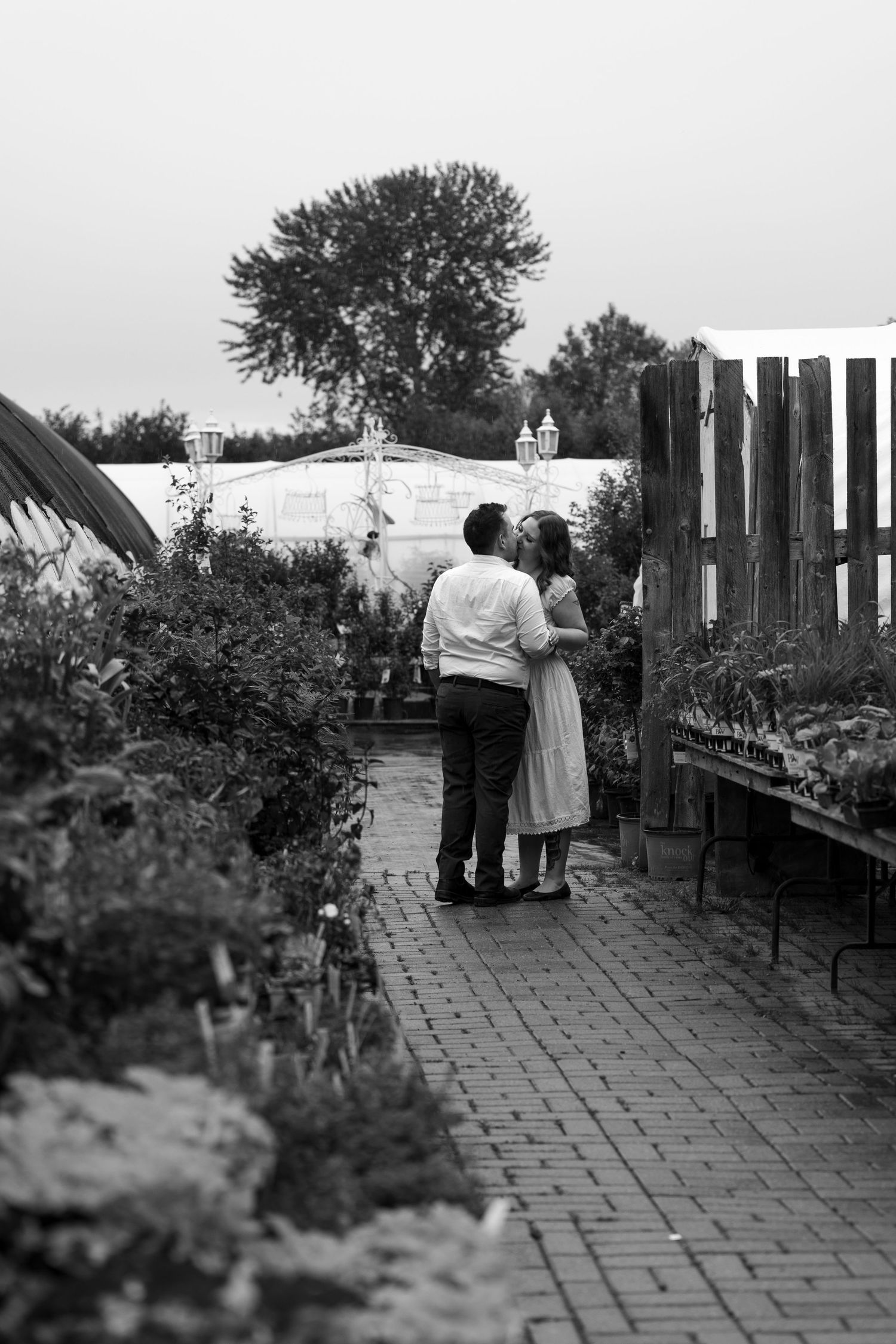 Romantic couple sharing a kiss on a brick garden path surrounded by plants in black and white.