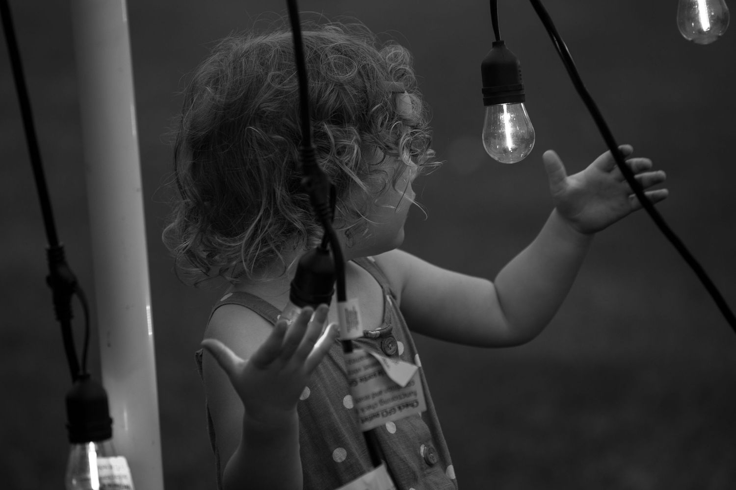 Black and white portrait of a child reaching for hanging light bulbs.