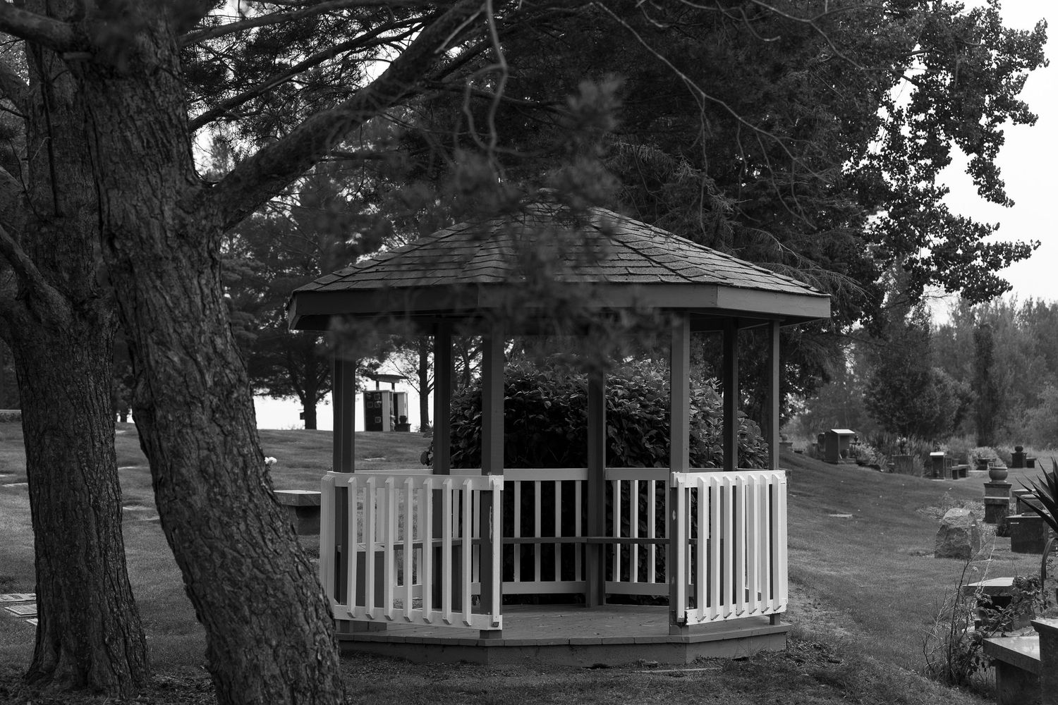 A rustic wooden gazebo nestled among tall pine trees at a wedding venue.