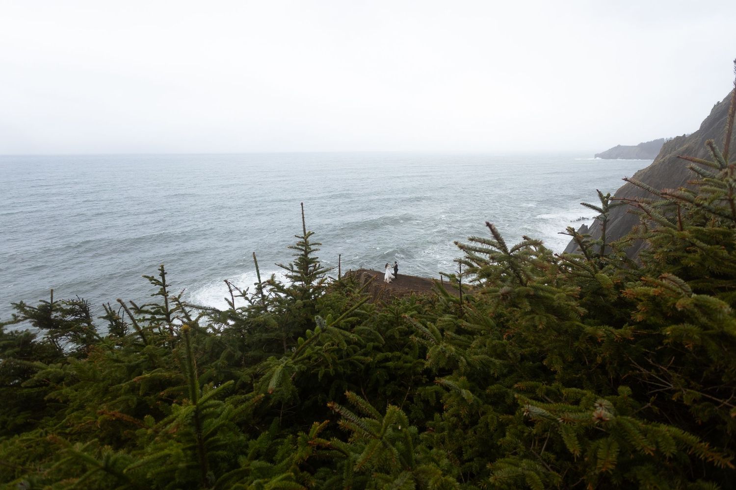 Misty coastal view with evergreen trees in foreground overlooking rocky Pacific Ocean cliffs on an overcast day.