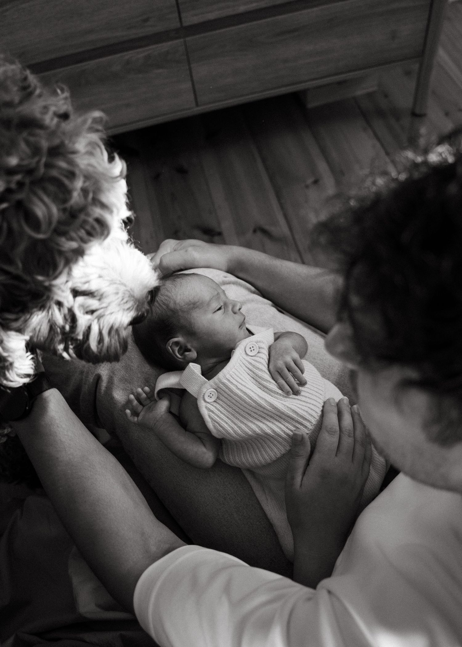A newborn photography session at a family home with their 2 week old baby boy and dog.