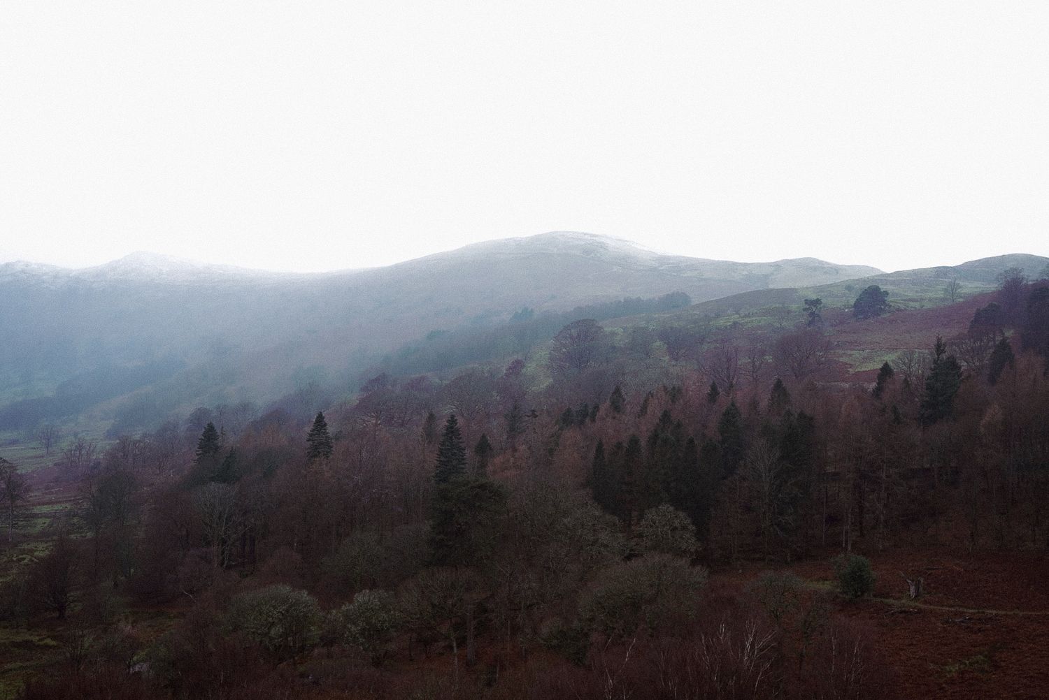 Moody foggy hillside with bare autumn trees and misty mountains in background.