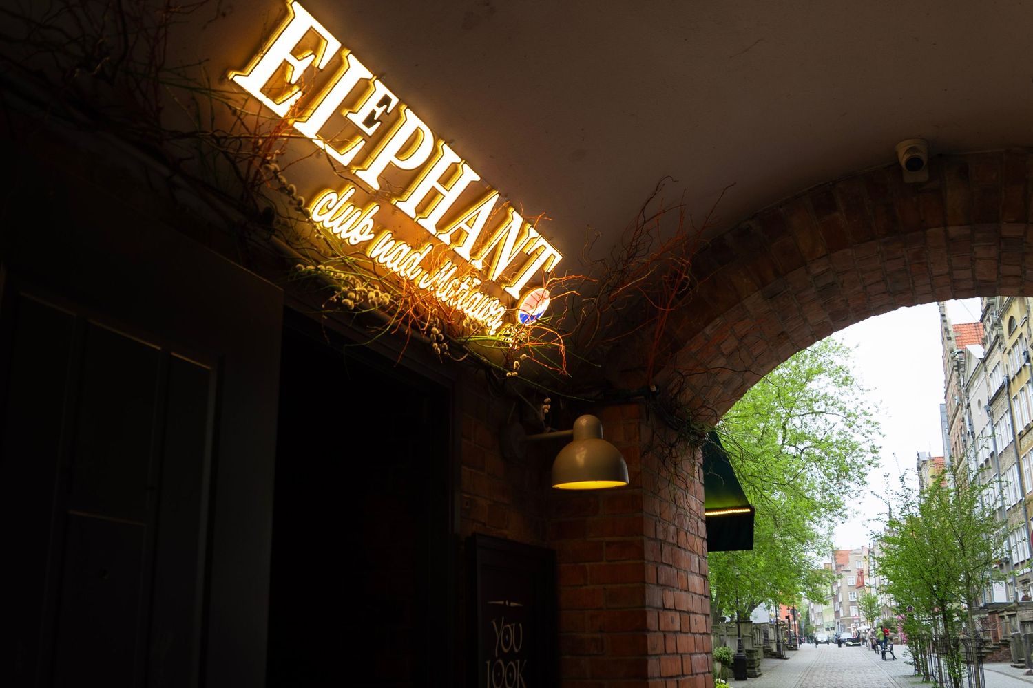 Elephant Club and Kitchen neon sign glowing under brick archway on a charming European street.