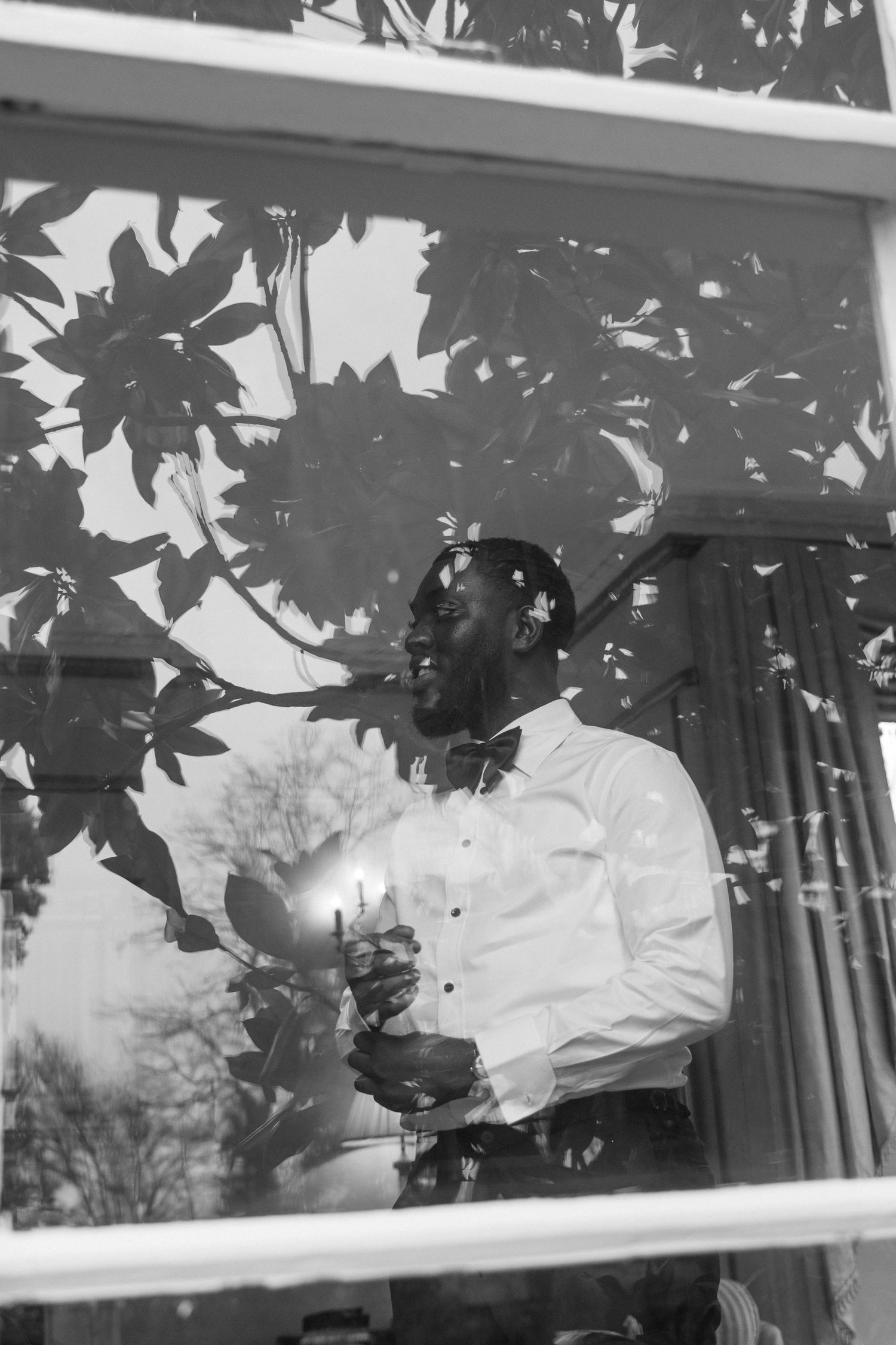 Artistic black and white photo showing silhouettes through a window with tree branch shadows.