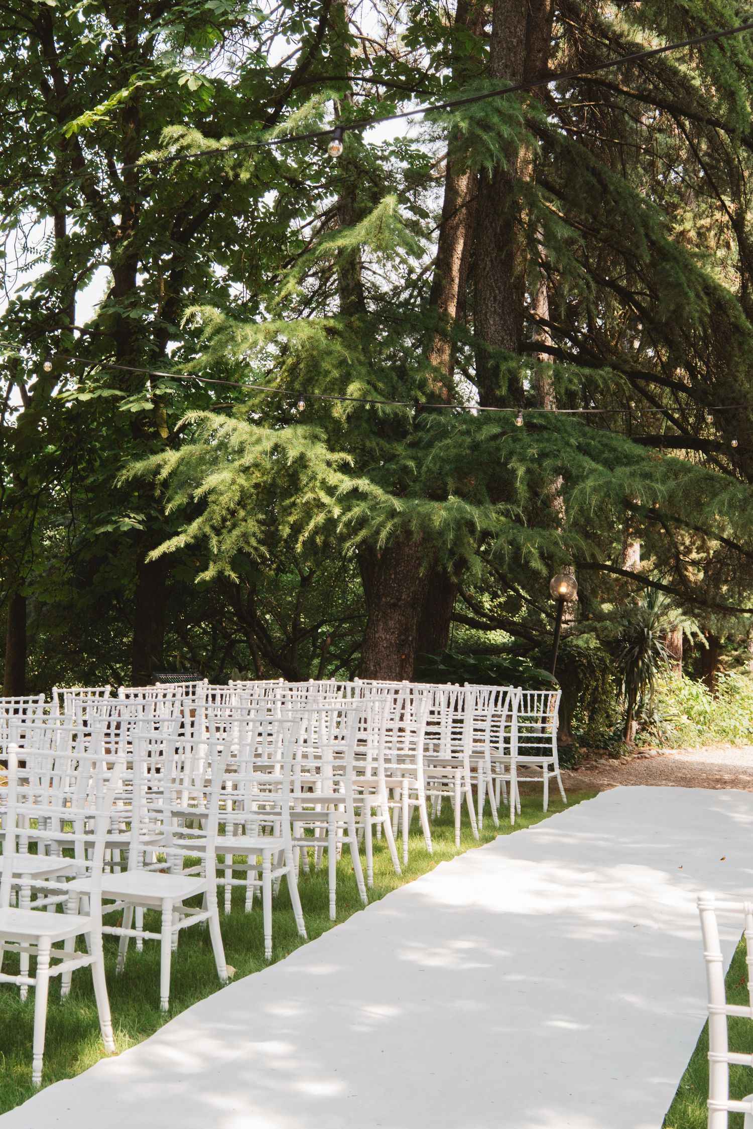 White ceremony chairs lined up along a white aisle runner under tall evergreen trees.