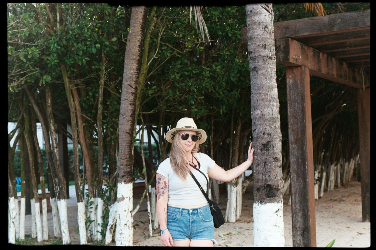 Summer scene with palm trees and wooden walkway at tropical beach location.