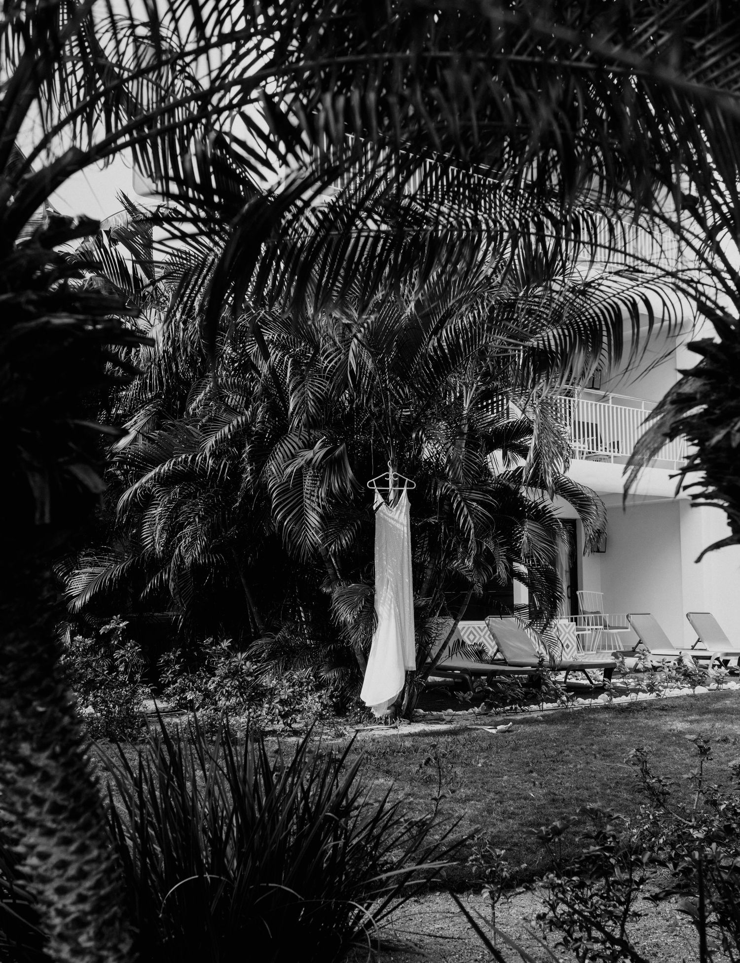 Wedding dress hanging from palm trees at Ocean Riviera Paradise destination wedding in Mexico