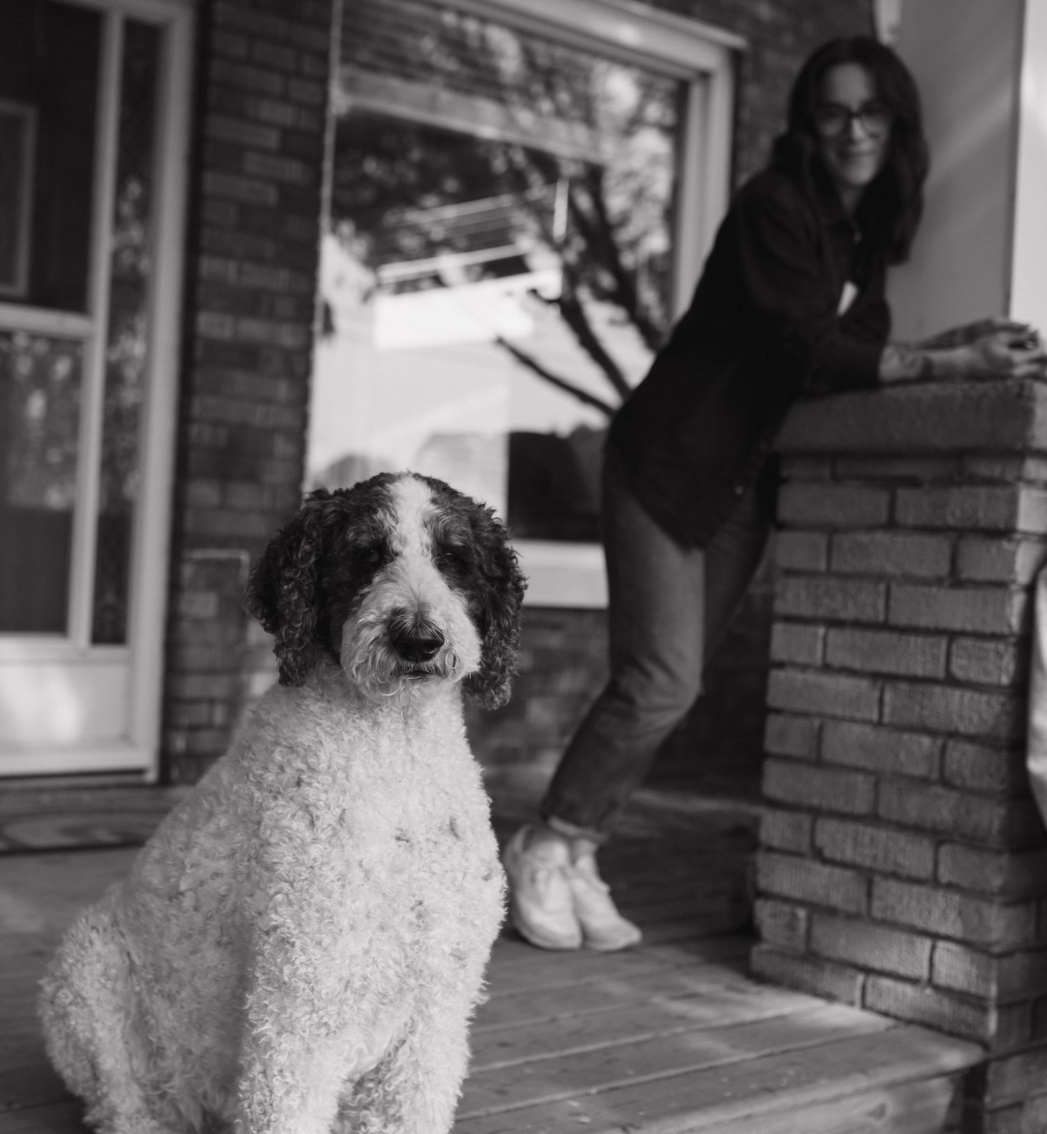 A black and white poodle mix dog sits attentively on a brick porch with steps in the background.