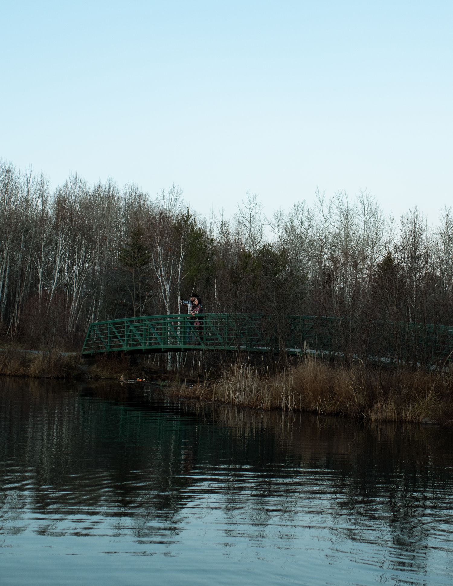 A panoramic view of a tranquil lake with bare trees and a green footbridge in winter.