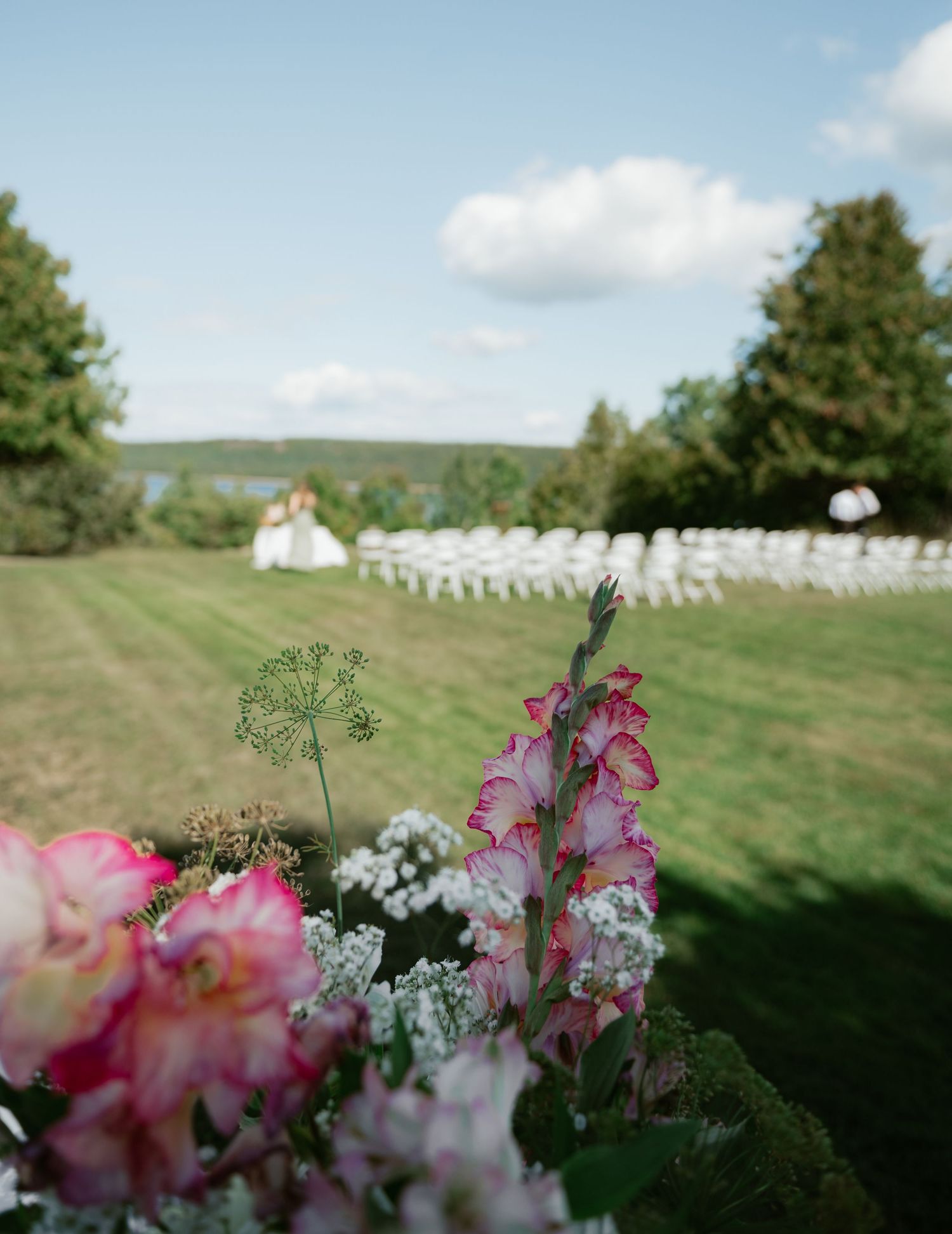 Outdoor wedding ceremony setup with white chairs on a lawn, framed by pink flowers in soft focus foreground.