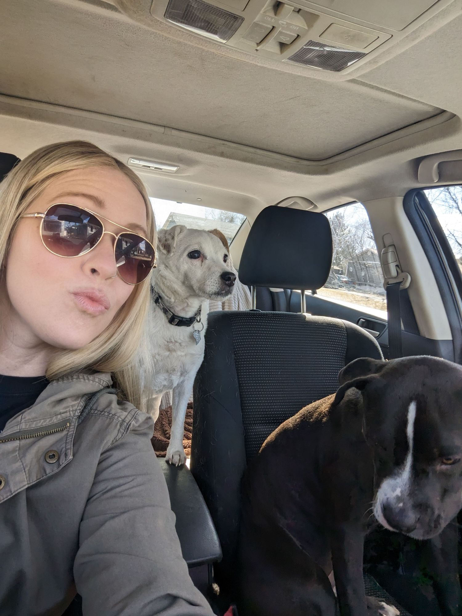 Blonde woman with sunglasses takes a selfie in a car with two dogs, a white and a dark brown dog in the backseat.