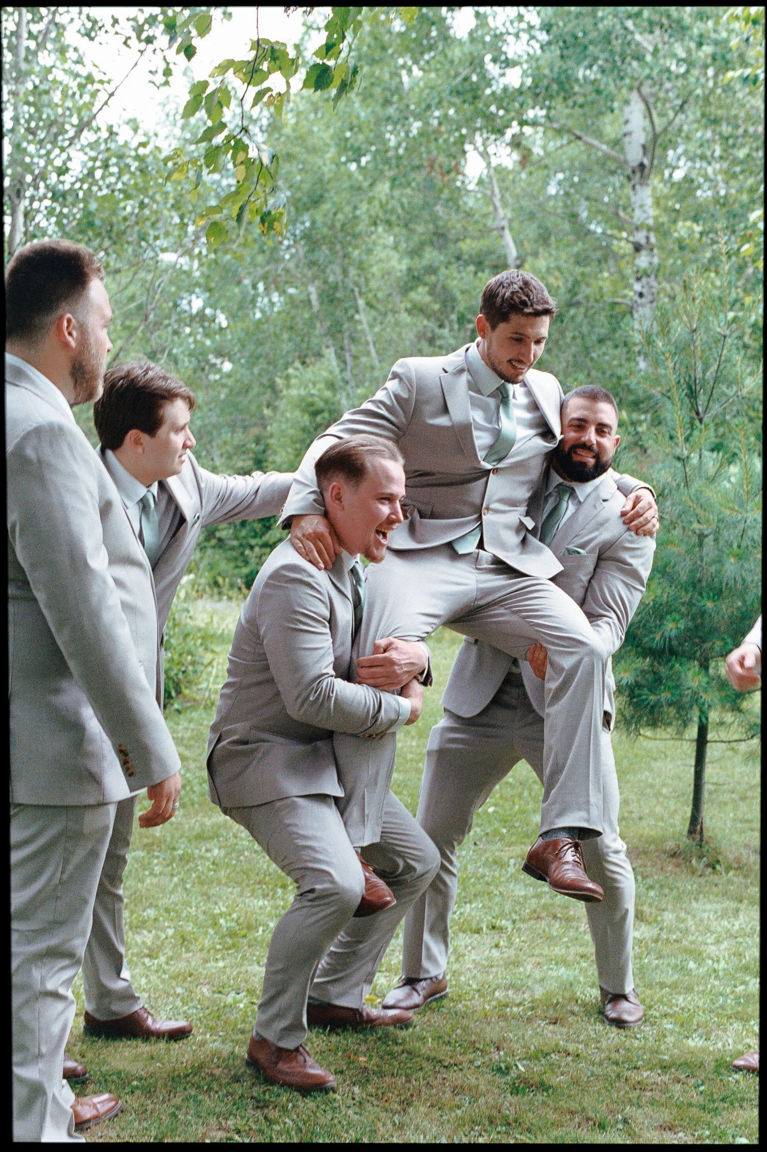 Groomsmen in gray suits laughing and lifting groom outdoors at a wedding celebration in a lush green setting.
