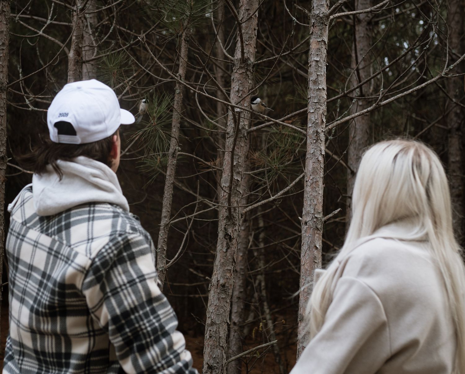 Two people walking into a dense forest, viewed from behind on an overcast day.