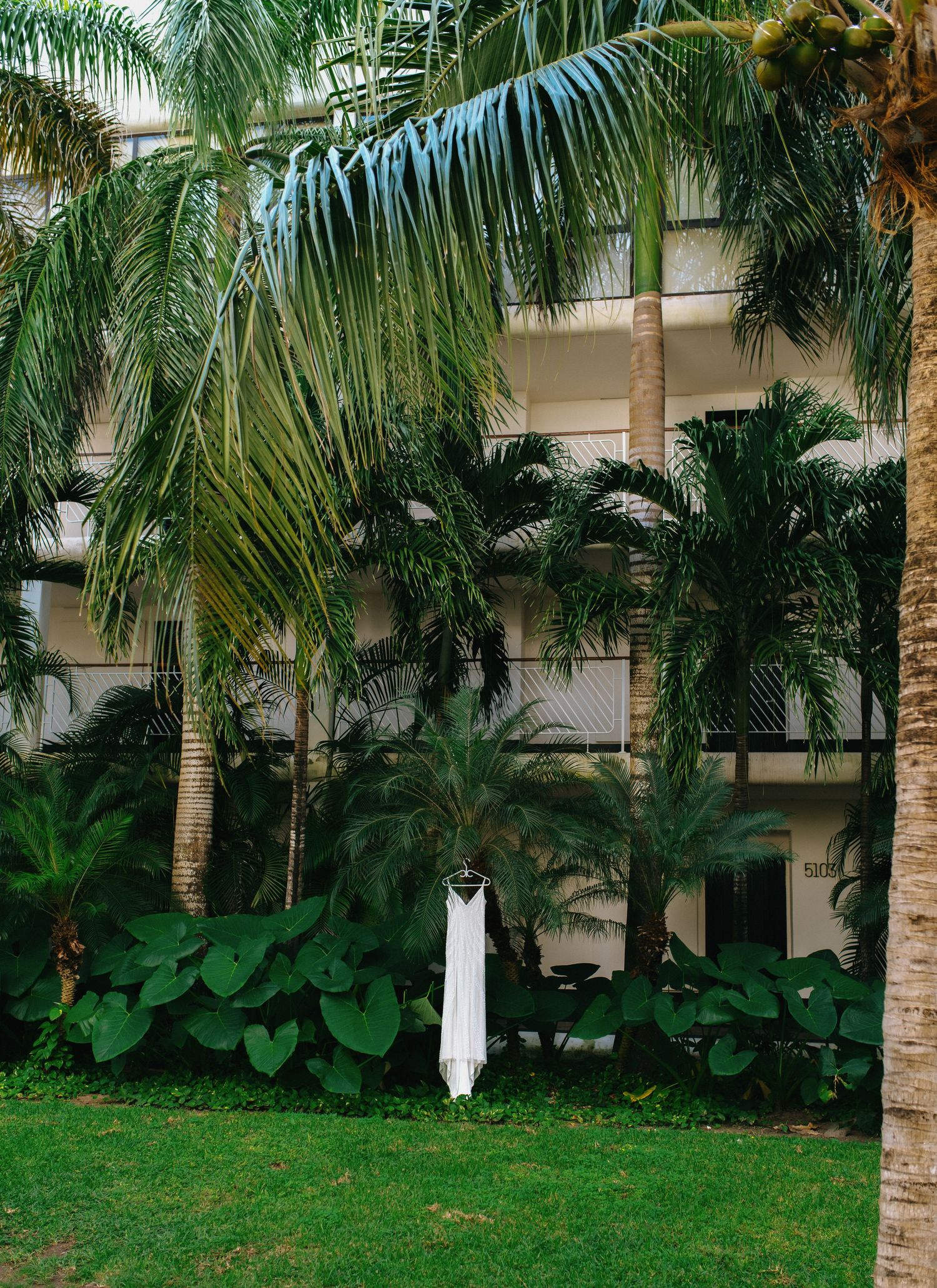 White dress hanging between tropical palm trees and lush greenery.