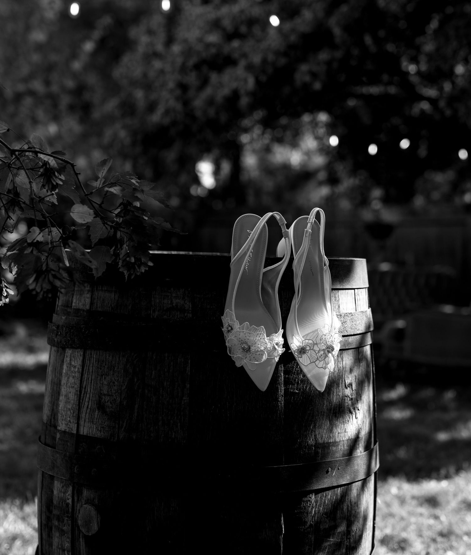 Dramatic black and white detail of wedding dress hanging outdoors.