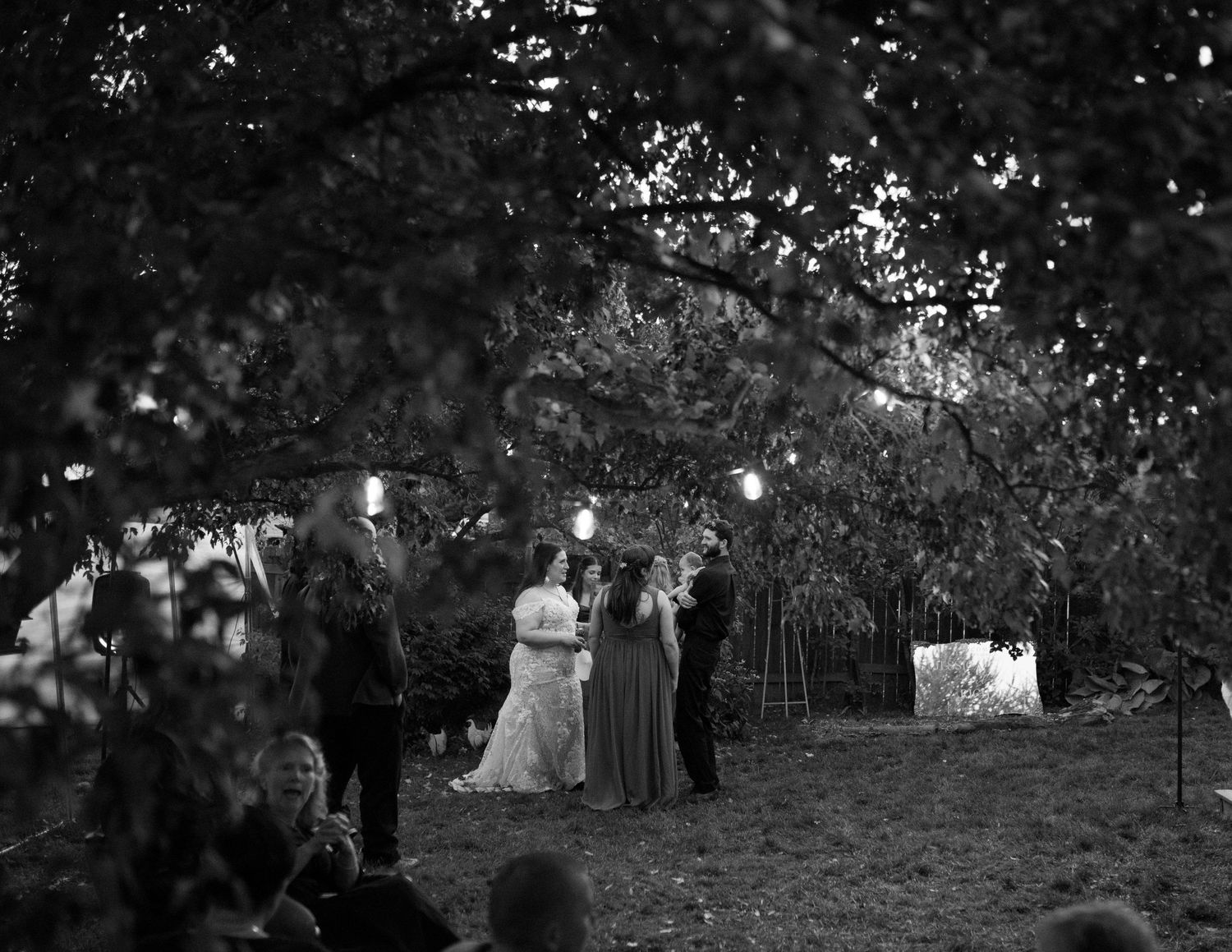 Silhouettes of wedding guests gather under trees at an outdoor evening celebration.