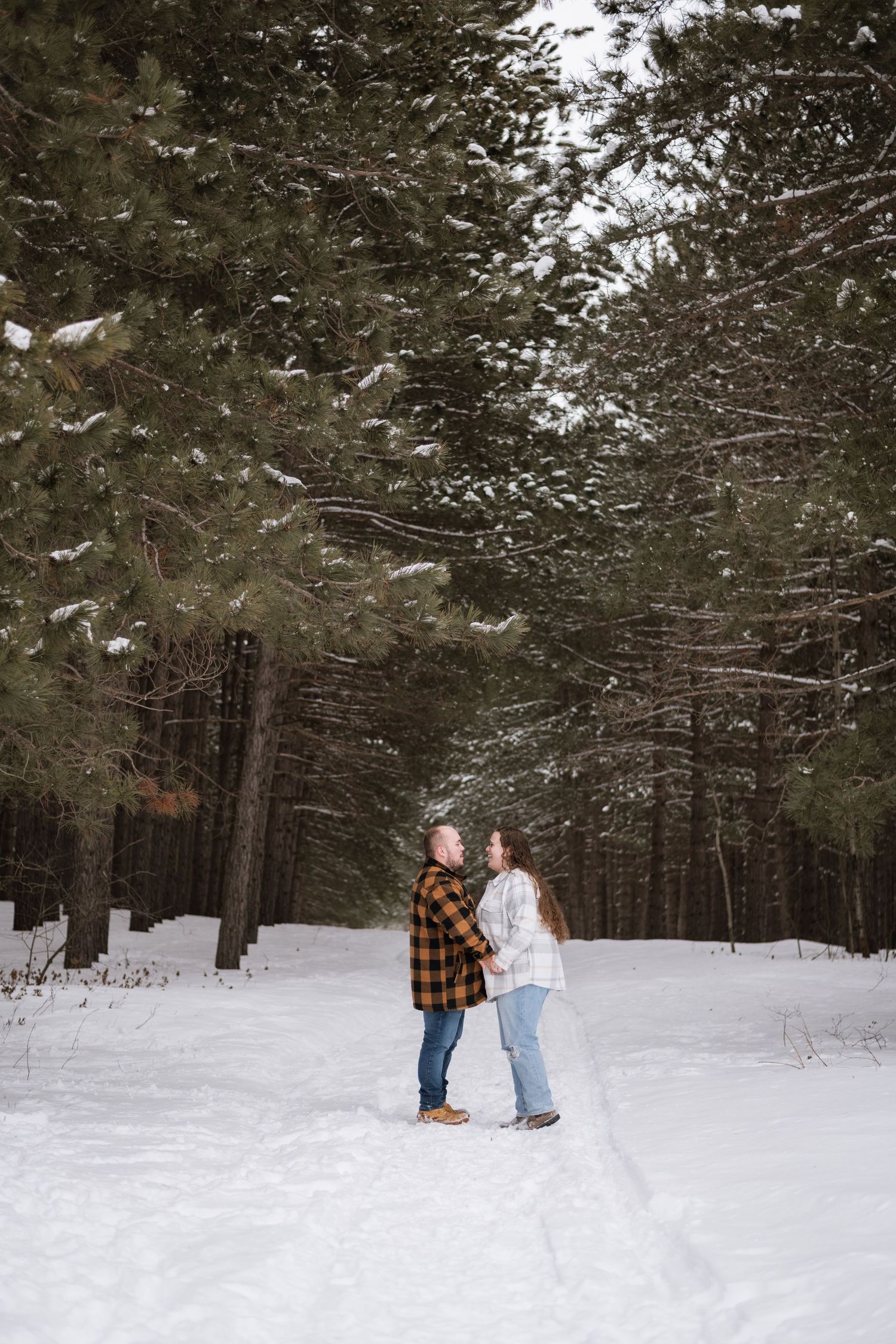Couple holding hands on a snowy forest path surrounded by tall pine trees in winter.