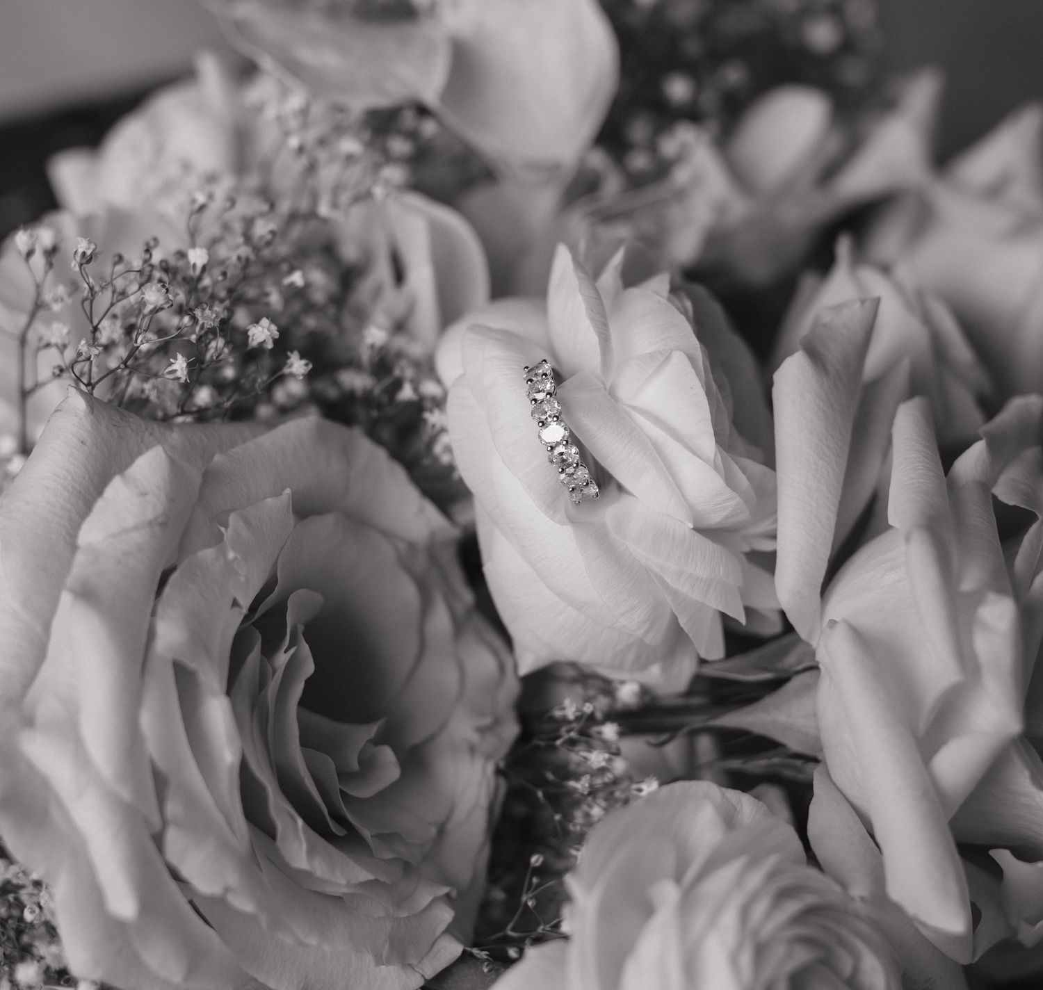 Close-up black and white photograph of delicate roses with baby's breath flowers.