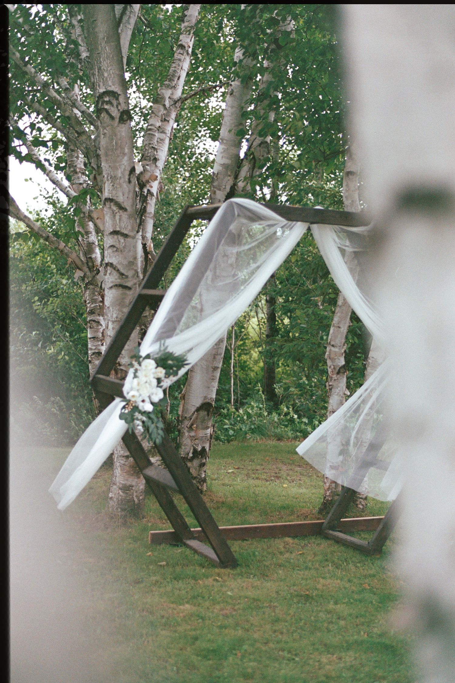 Hexagonal wooden wedding arch draped with white tulle and floral accents, set outdoors among birch trees on green grass.