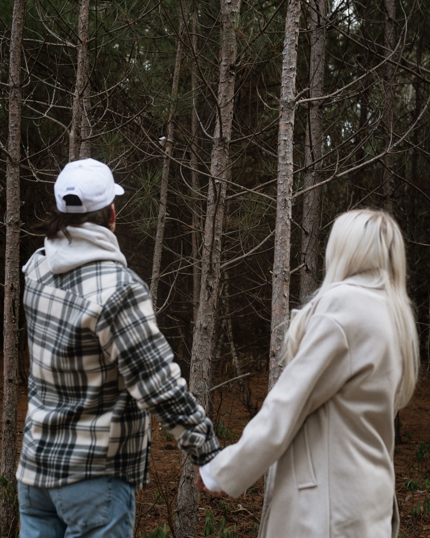 Couple holding hands while exploring a forest path among tall pine trees.