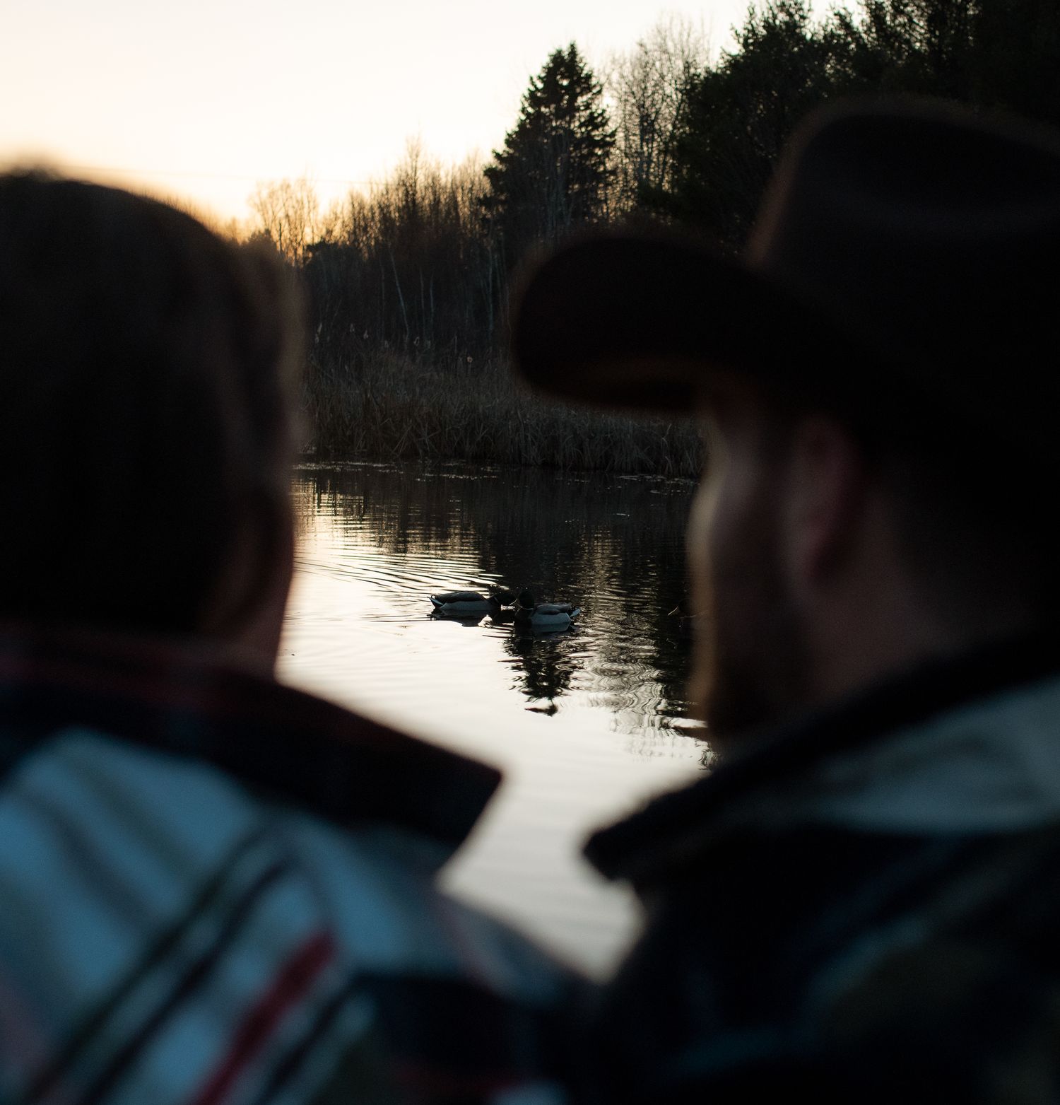 Two people sit silently by a tranquil lake at sunset, watching ducks swim in the calm reflective water.