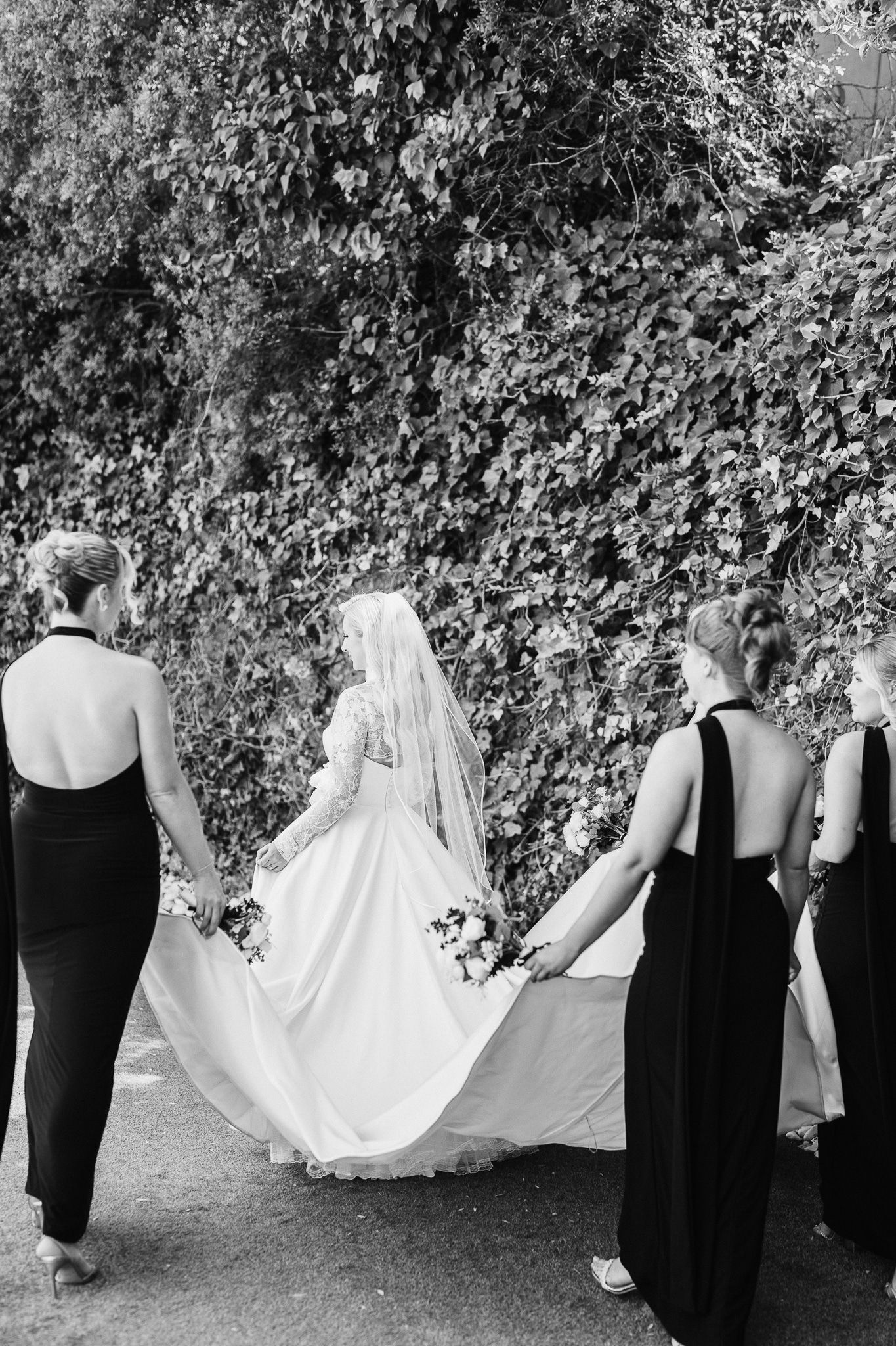 Black and white photo of wedding party walking in line against ivy-covered wall.