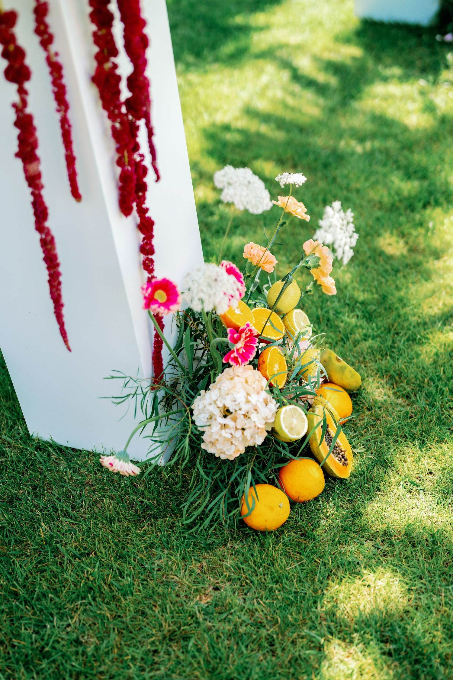 Fresh oranges and white hydrangea flowers arranged on green grass beside hanging red amaranth flowers.