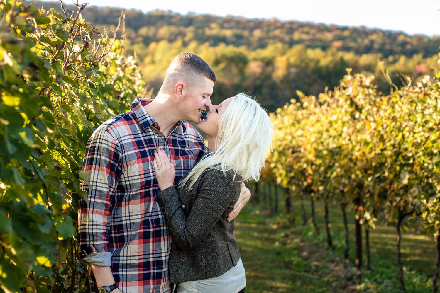 Couple shares romantic kiss among lush green vineyard rows in autumn.