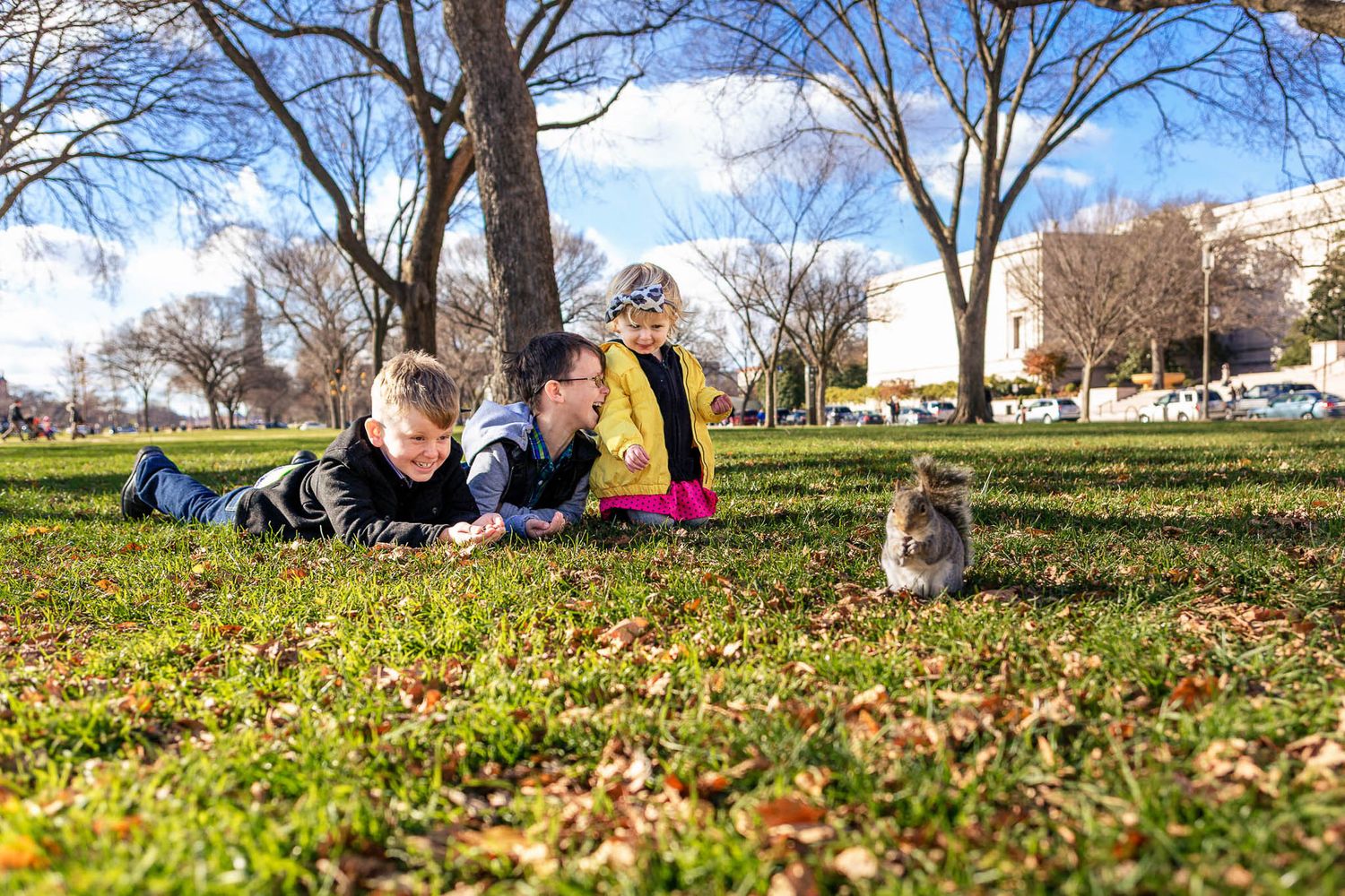 Two children and adult lying on grass observing a squirrel in a sunny park with bare trees.