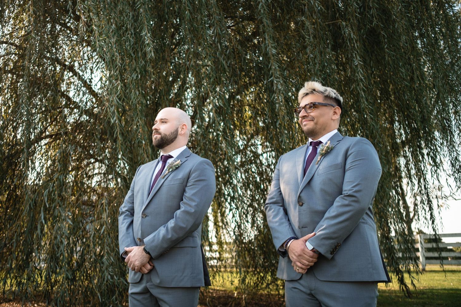 Two groomsmen in gray suits stand beneath a weeping willow tree at a wedding.