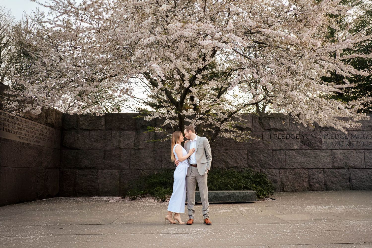 Romantic couple kissing under blooming cherry blossom tree near a stone wall in spring.