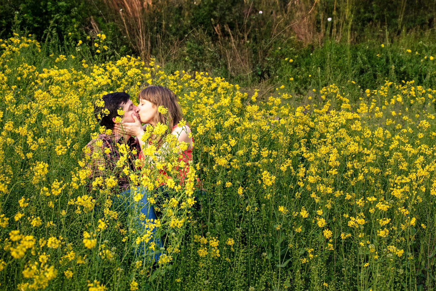 Couple sharing a tender kiss surrounded by vibrant yellow wildflowers in a lush green field.
