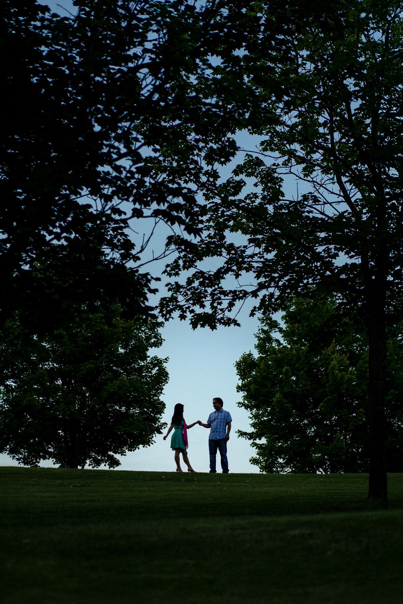 Romantic silhouette of a couple holding hands on a hilltop framed by tall trees at dusk.