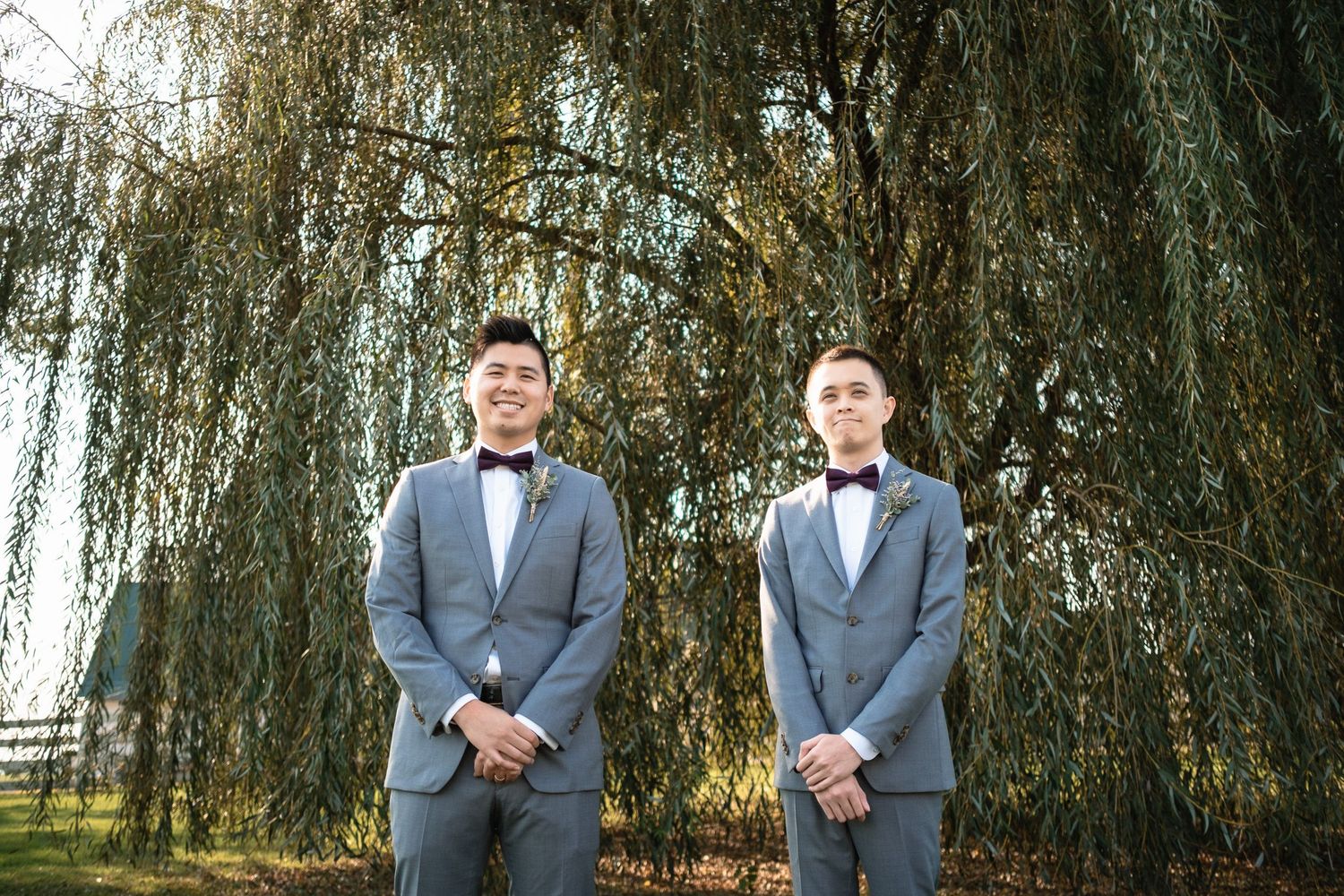 Two groomsmen wearing gray suits and burgundy bow ties pose under a weeping willow tree.