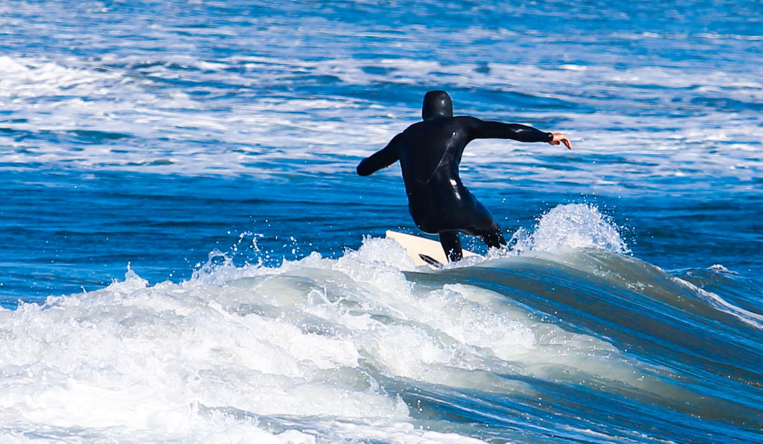 Surfer in black wetsuit riding a white-capped ocean wave on a sunny day.