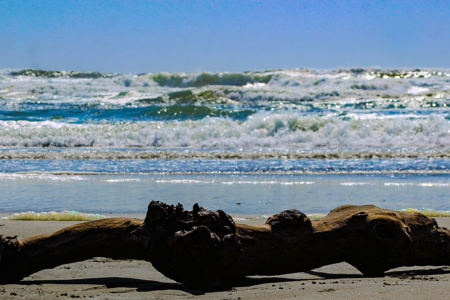 Driftwood log on a sandy beach with rolling ocean waves and clear blue sky in the background.